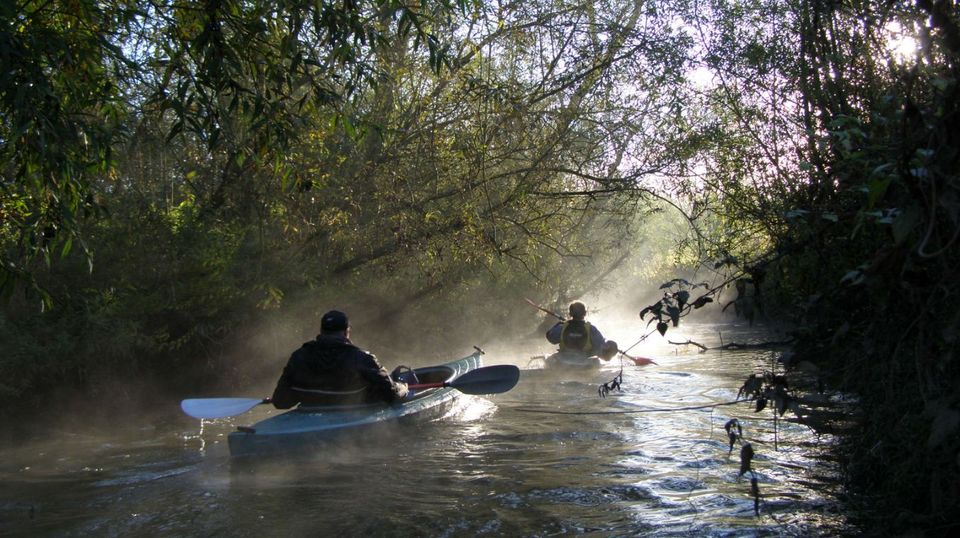 Kanovaren in Nationaal Park De Biesbosch