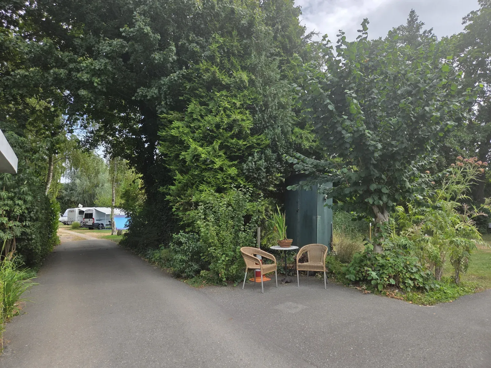 Groene entree van Camping Het Loze Vissertje